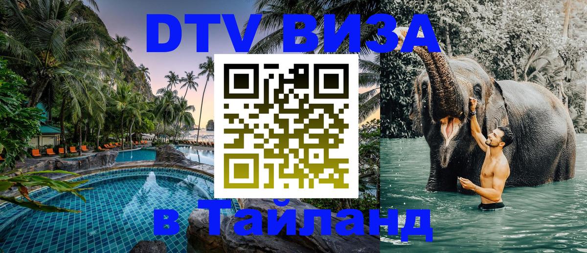 Оформление DTV визы под ключ: стоимость и тарифы, только загранпаспорт - 19.11.2025 